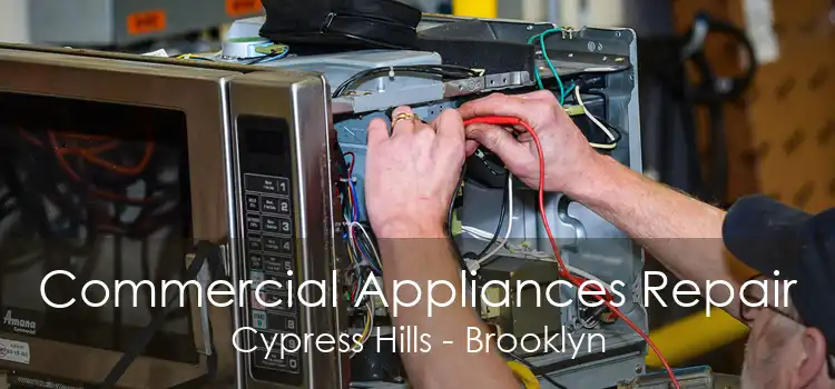 Commercial Appliances Repair Cypress Hills - Brooklyn