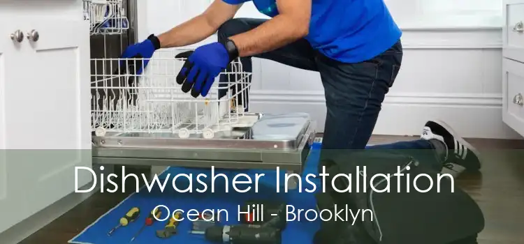 Dishwasher Installation Ocean Hill - Brooklyn