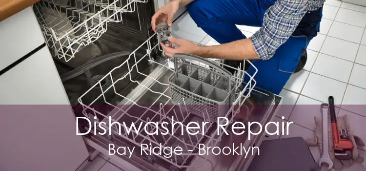 Dishwasher Repair Bay Ridge - Brooklyn