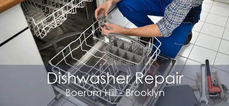 Dishwasher Repair Boerum Hill - Brooklyn