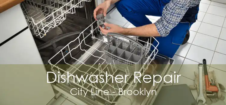 Dishwasher Repair City Line - Brooklyn