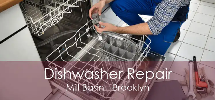 Dishwasher Repair Mill Basin - Brooklyn