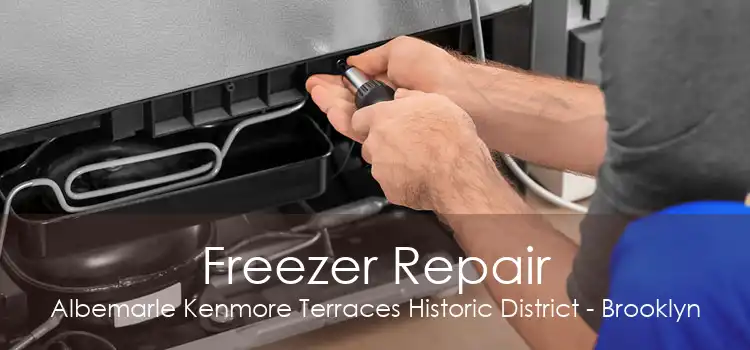 Freezer Repair Albemarle Kenmore Terraces Historic District - Brooklyn