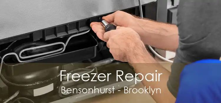 Freezer Repair Bensonhurst - Brooklyn