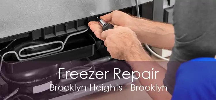 Freezer Repair Brooklyn Heights - Brooklyn