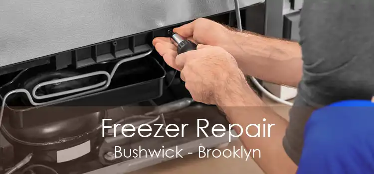 Freezer Repair Bushwick - Brooklyn