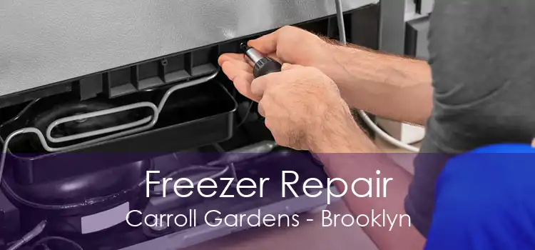 Freezer Repair Carroll Gardens - Brooklyn