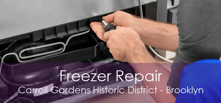 Freezer Repair Carroll Gardens Historic District - Brooklyn