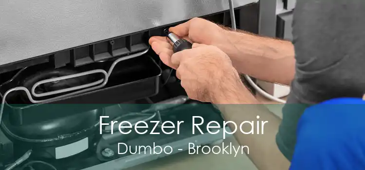 Freezer Repair Dumbo - Brooklyn