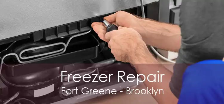 Freezer Repair Fort Greene - Brooklyn