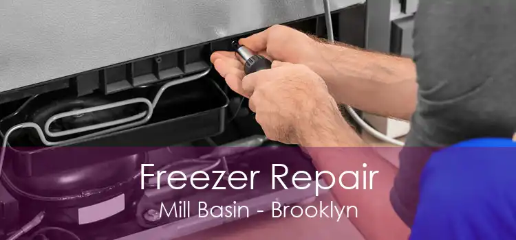 Freezer Repair Mill Basin - Brooklyn