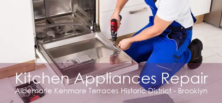 Kitchen Appliances Repair Albemarle Kenmore Terraces Historic District - Brooklyn