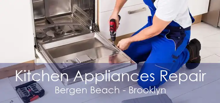 Kitchen Appliances Repair Bergen Beach - Brooklyn