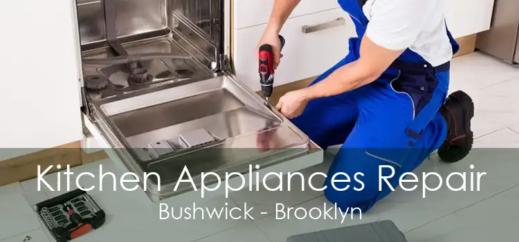 Kitchen Appliances Repair Bushwick - Brooklyn