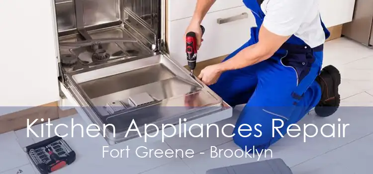 Kitchen Appliances Repair Fort Greene - Brooklyn