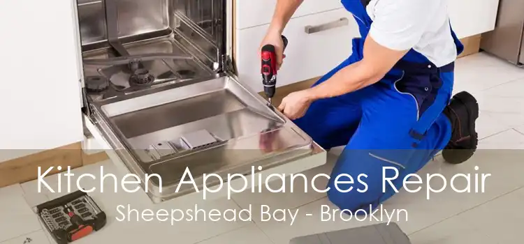 Kitchen Appliances Repair Sheepshead Bay - Brooklyn