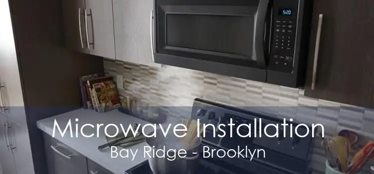 Microwave Installation Bay Ridge - Brooklyn