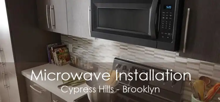 Microwave Installation Cypress Hills - Brooklyn