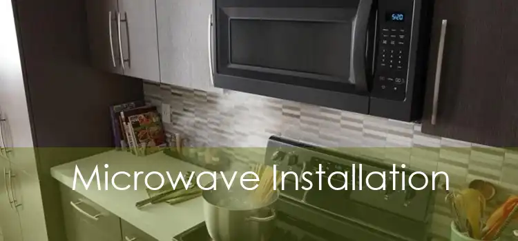 Microwave Installation 