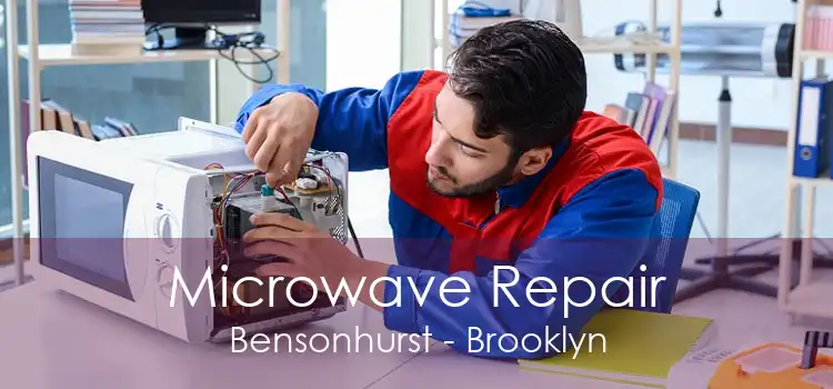 Microwave Repair Bensonhurst - Brooklyn