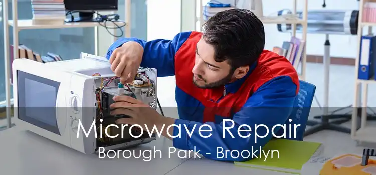 Microwave Repair Borough Park - Brooklyn