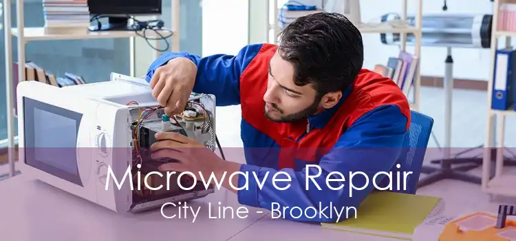 Microwave Repair City Line - Brooklyn