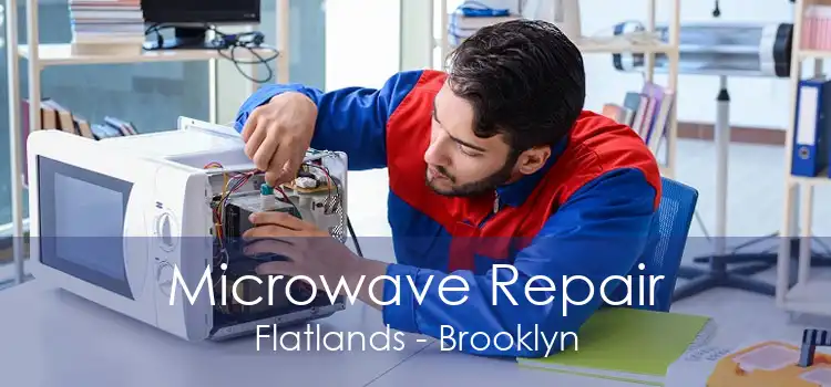 Microwave Repair Flatlands - Brooklyn