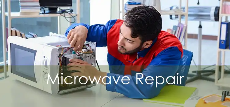 Microwave Repair 