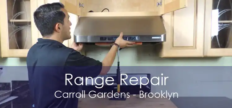 Range Repair Carroll Gardens - Brooklyn