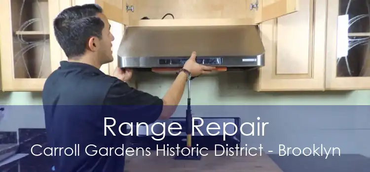 Range Repair Carroll Gardens Historic District - Brooklyn