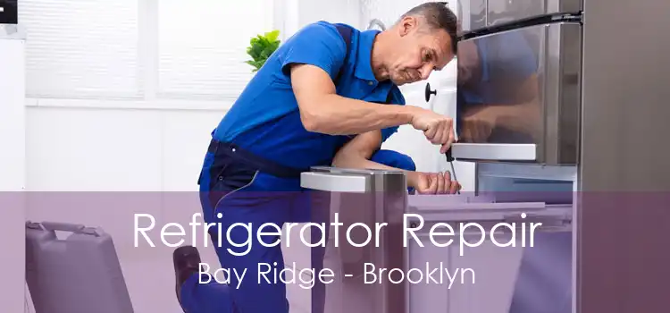 Refrigerator Repair Bay Ridge - Brooklyn