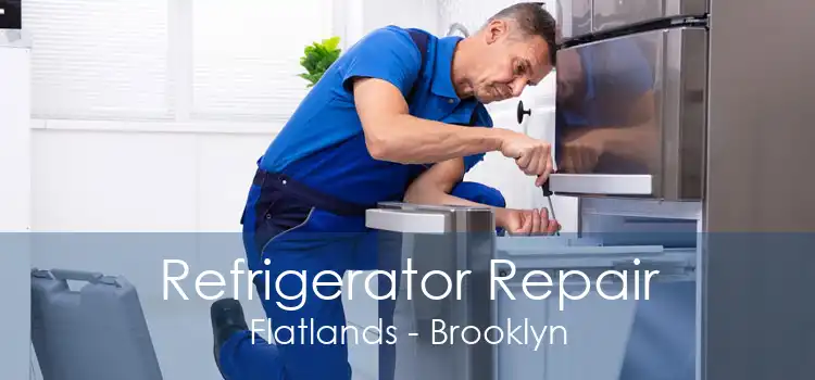 Refrigerator Repair Flatlands - Brooklyn