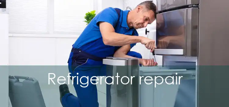 Refrigerator repair 