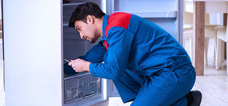 Freezer Repair Services in Brooklyn, NY